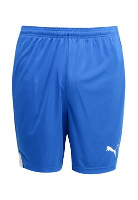 Puma   ftblTRG Shorts