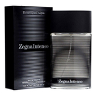 Ermenegildo Zegna Intenso